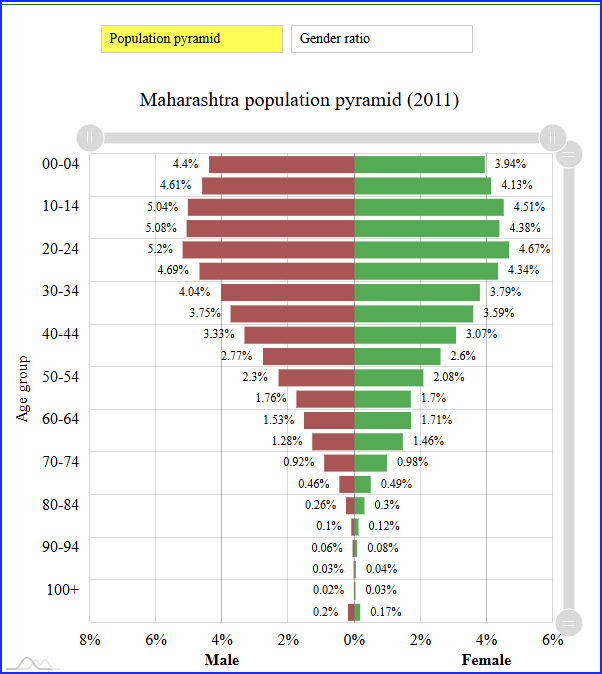 Voter Turnout Surge After 5 PM in Maharashtra 2024